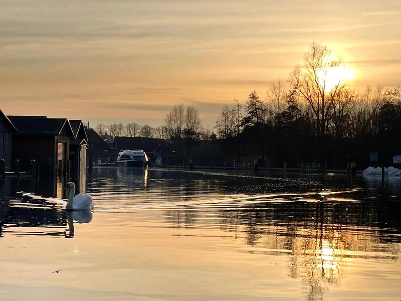 Abendsonne spiegelt sich im Wasser zwischen Bootshäusern und Bäumen